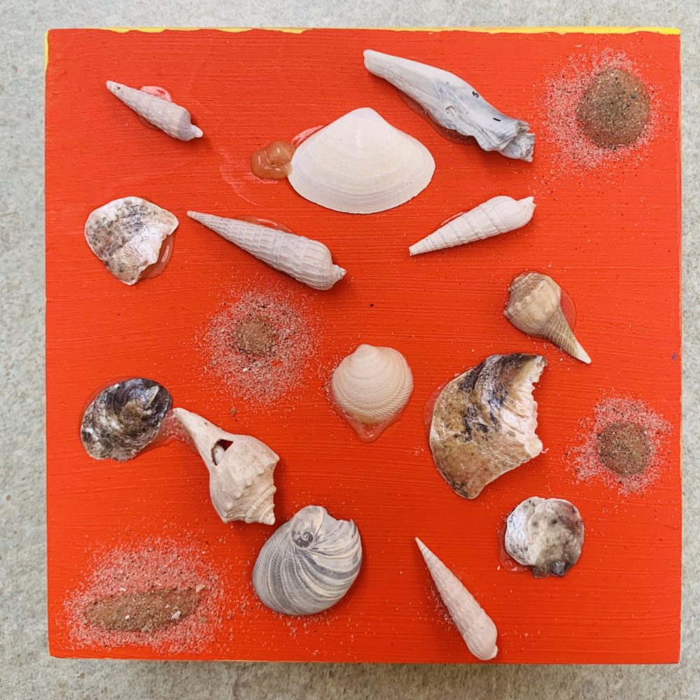 beach shells