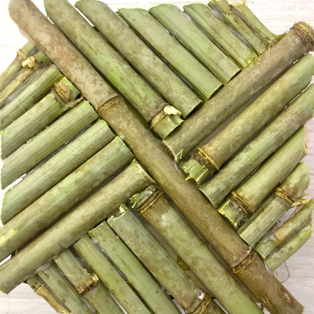 Bamboo